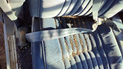 1984 Deville Sedan Passenger Right Front Seat Belt Retractor Oem Shoulder Blue