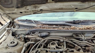 2000-2003 Nissan Maxima Passenger Right Windshield Wiper Arm Oem Blade Lever