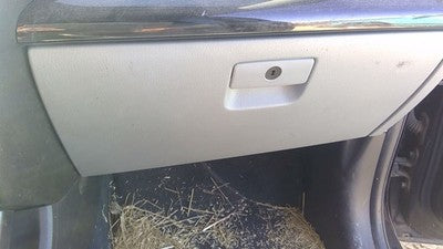 2011-2015 Kia Sorento Glove Box Assembly Complete Door With Latch Oem Black Eb