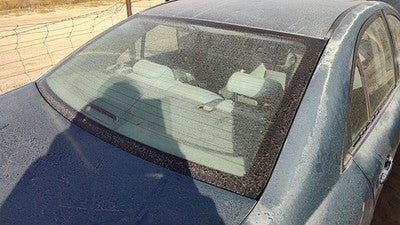 2006-2010 Hyundai Sonata Back Glass Rear Window Oem 871103K020