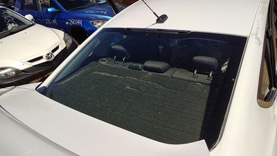 2013-2016 Ford Fusion Back Glass Rear Window Oem Ds7Z5442006B