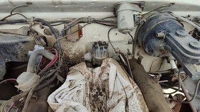 1981-1984 Dodge Ram W250 Ignition Distributor Oem 5.2L 3755202