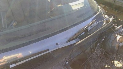 1978 Buick Regal Chrome Windshield Wiper Cowl Trim Moulding Oem