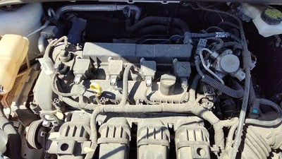 2012-2018 Ford Focus Cylinder Head Assembly Oem 2.0L Fm5Z6049C