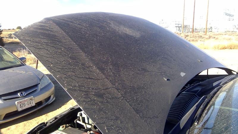 2002-2010 Mercury Mountaineer Hood