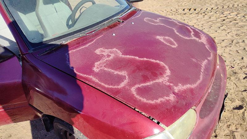 1994-1997 Ford Aspire Hood