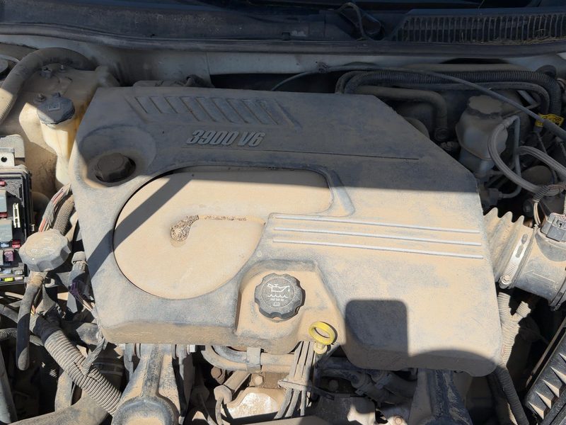 2006-2007 Monte Carlo Engine Cover