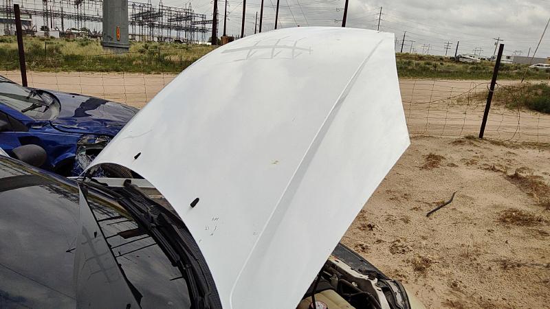 2000-2004 Ford Focus Not RS Hood