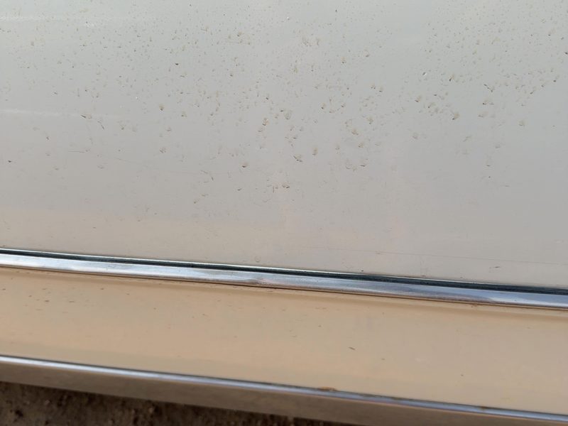 1986 Oldsmobile Ninety-eight (80 & Up) Front Door Moulding RH