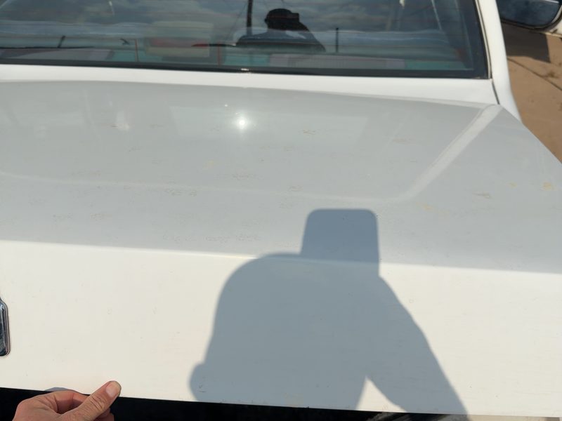 1986-1990 Oldsmobile Ninety-eight (80 & Up) Trunk/Decklid/Hatch/Tailgate