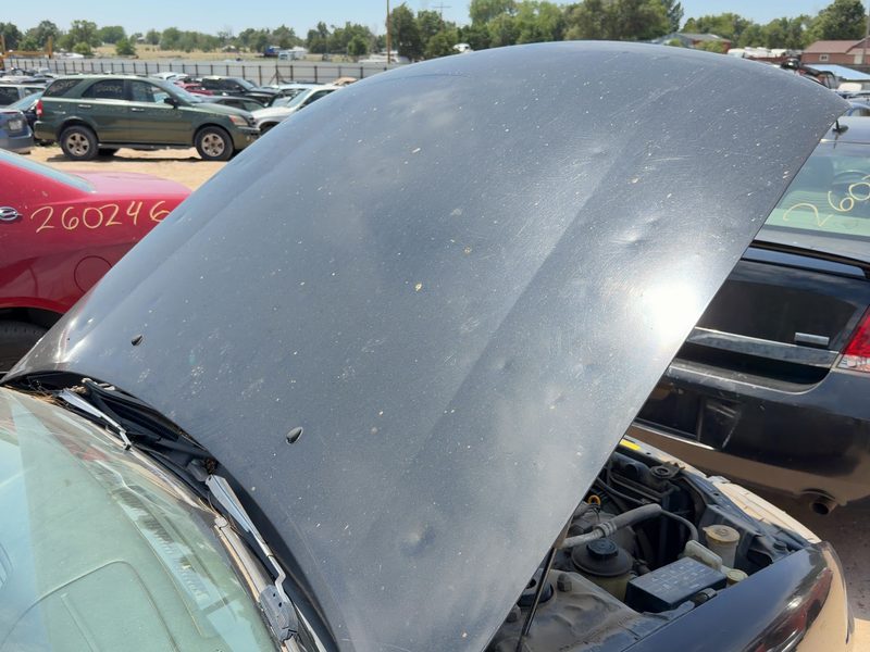 1995-1999 Nissan Maxima Hood