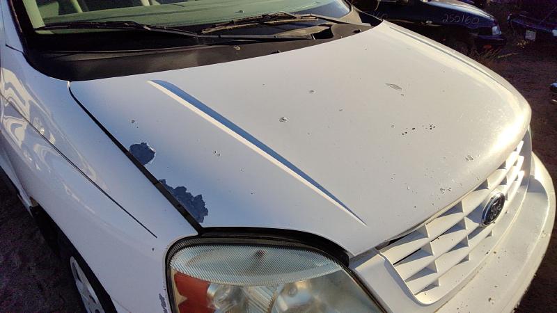 2004-2007 Ford Freestar Hood