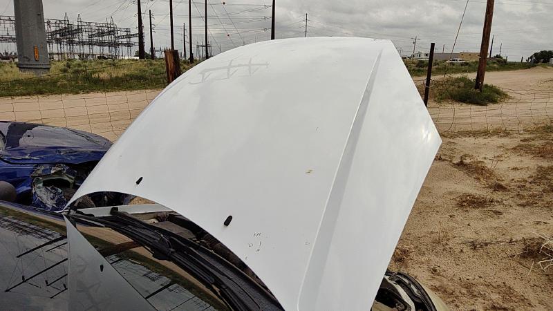 2000-2004 Ford Focus Not RS Hood