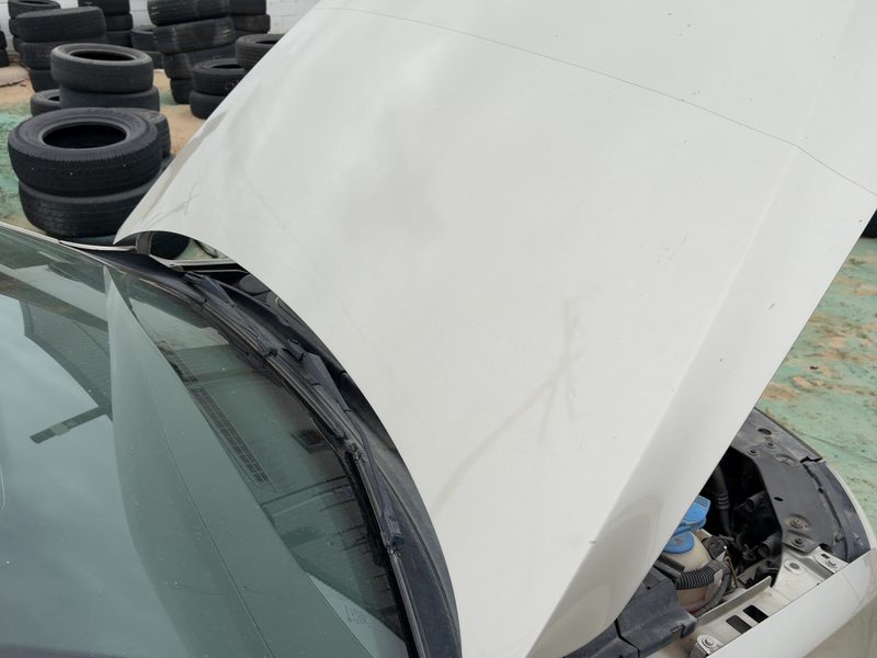 2011-2018 Jetta Except Gli Hood
