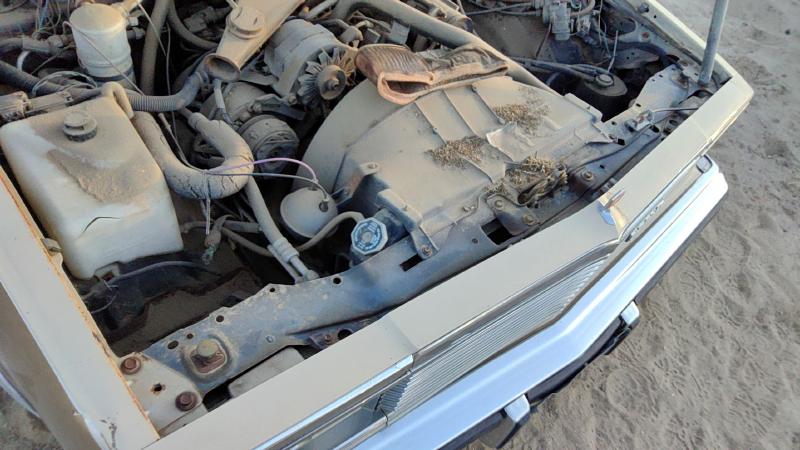1978-1987 Malibu Radiator Support