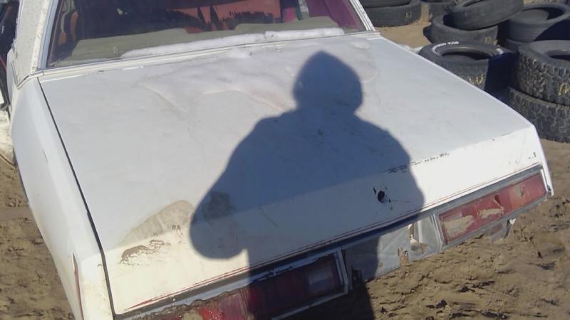 1978-1980 Regal (also See Somerset 85-87) Trunk/Decklid/Hatch/Tailgate