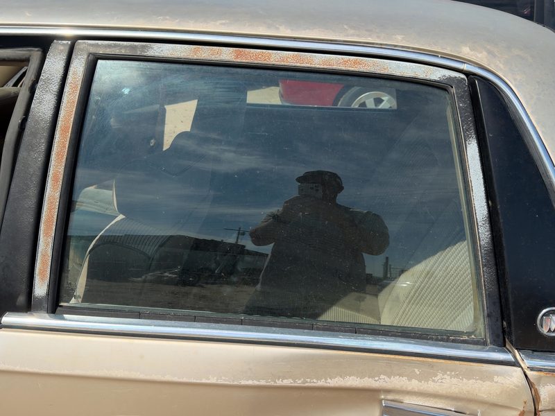 1989-1996 Buick Century Rear Door Glass/Window LH