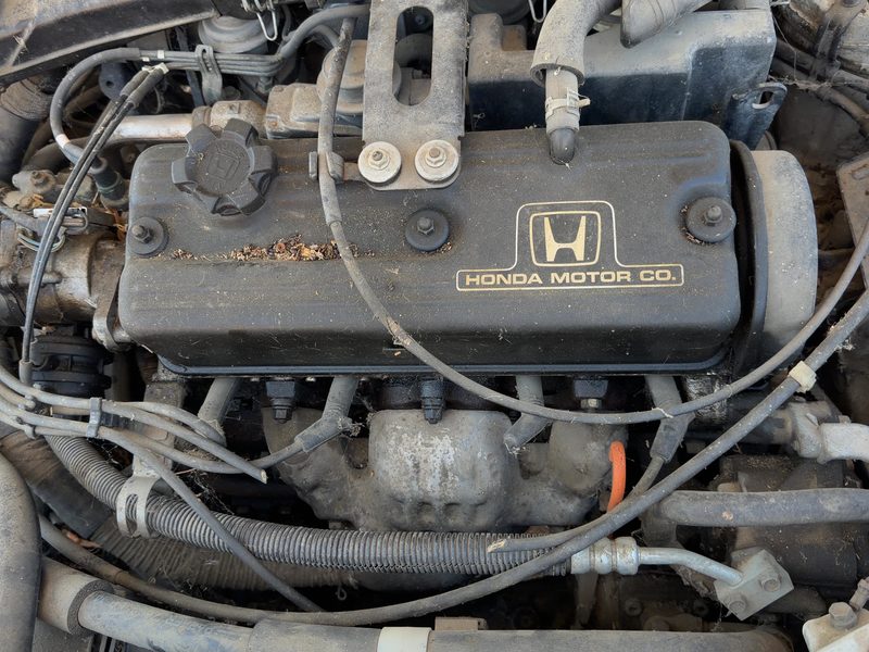 1988-1989 Honda Accord Cylinder Head