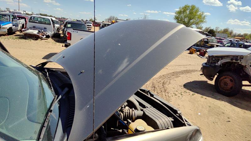 2002-2005 Explorer Hood