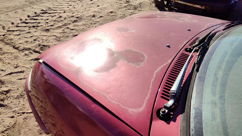 1994-1997 Ford Aspire Hood