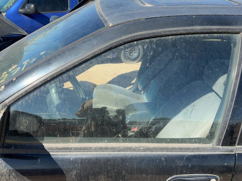 1995-1999 Nissan Maxima Front Door Glass/Window LH
