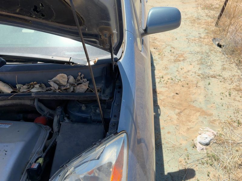 2004-2009 Toyota Prius Hood Hinge RH