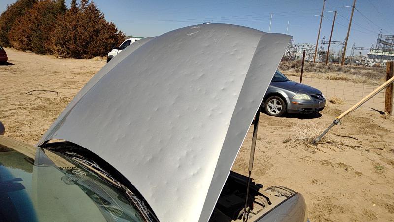 1997-2005 Buick Park Avenue (80&up) Hood