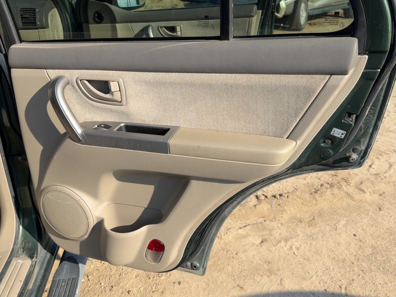 2005-2006 Kia Sorento Rear Door Trim Panel RH