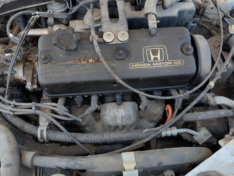 1988-1989 Honda Accord Cylinder Head