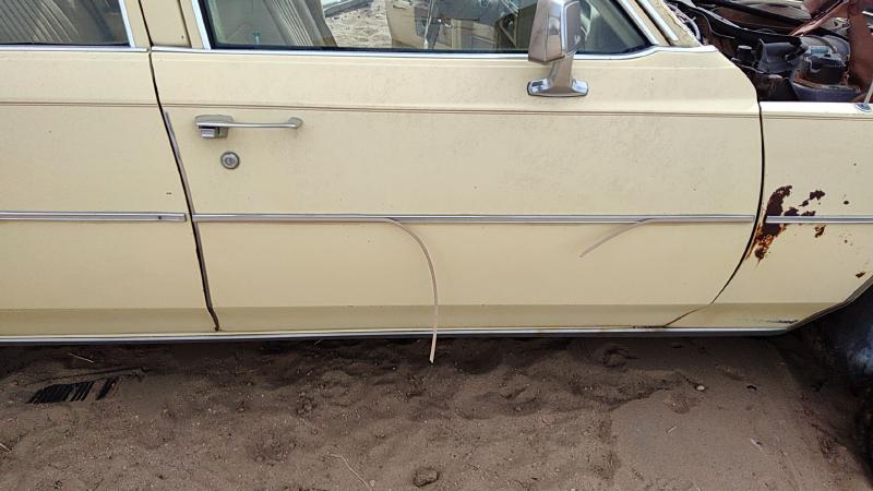 1980-1989 Cadillac Deville (80 & Up) Front Door RH