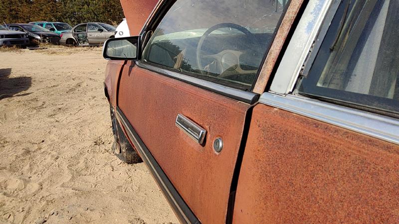 1982-1989 Pontiac Sunbird Front Door LH