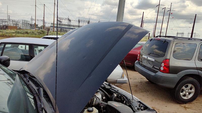 2004-2012 GMC Canyon Hood