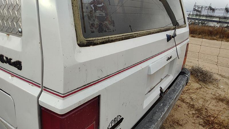 1984-1996 Jeep Cherokee Trunk/Decklid/Hatch/Tailgate