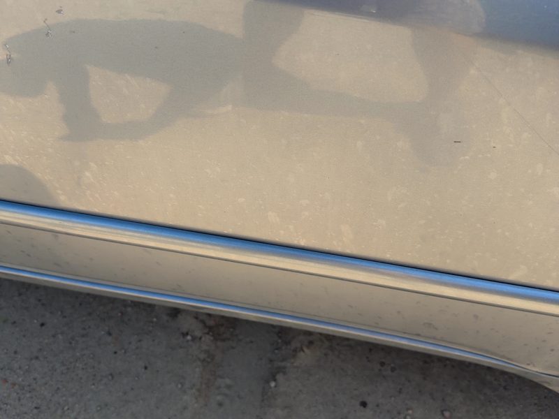 2007 Honda Accord Front Door Moulding RH