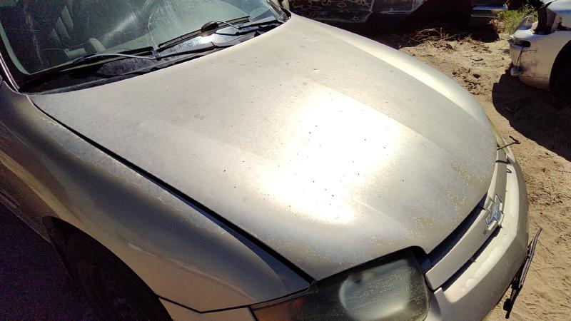 2003-2005 Cavalier Hood