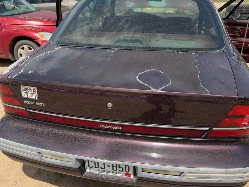 1992-1999 Oldsmobile Eighty-eight (80 & Up) Trunk/Decklid/Hatch/Tailgate
