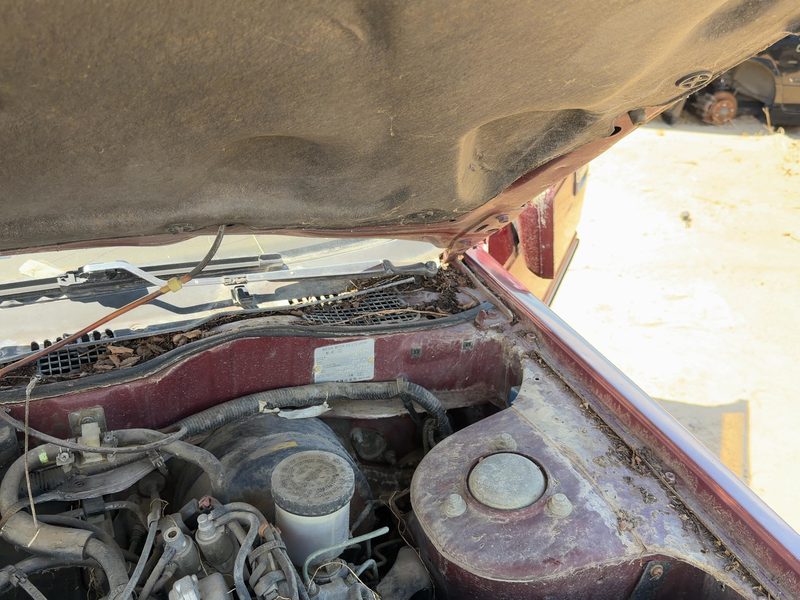 1985-1989 Nissan Maxima Hood Hinge RH