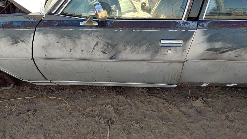 1977-1979 Chevrolet (full Size) Front Door LH