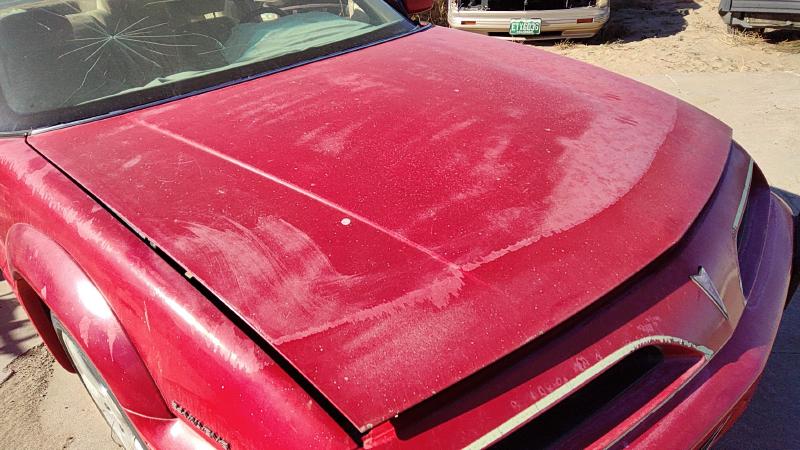 1988-1996 Grand Prix Hood