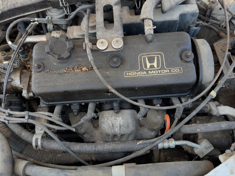 1988-1989 Honda Accord Cylinder Head