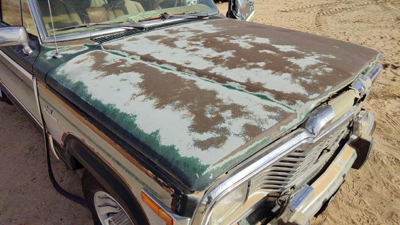 1971-2066 Jeep Grand Wagoneer Hood