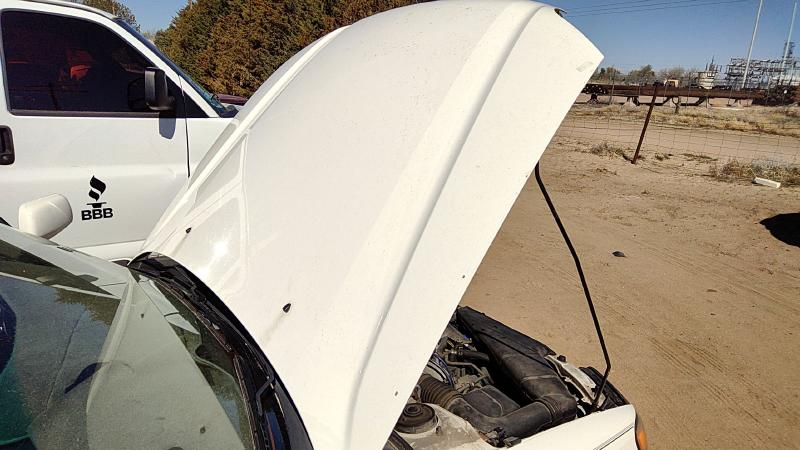2000-2006 Subaru Legacy/ Outback Hood