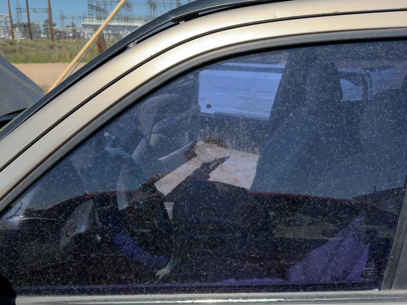 2002-2006 Honda Crv Front Door Glass/Window LH
