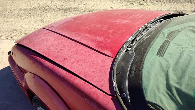 1988-1996 Grand Prix Hood
