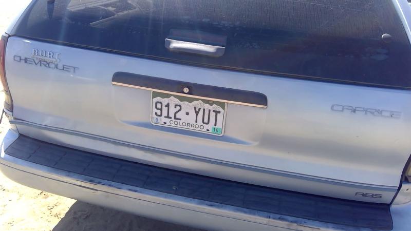 1991-1996 Chevrolet Caprice (80 & Up) Trunk/Decklid/Hatch/Tailgate