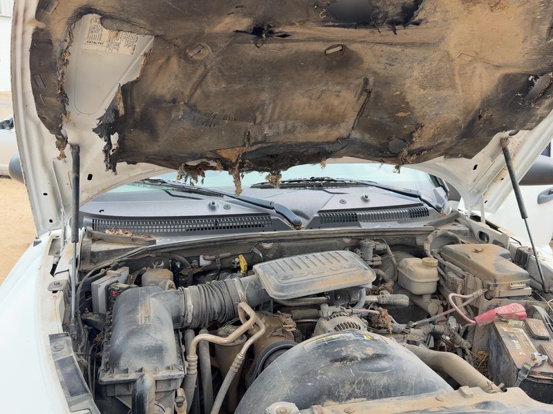 2002-2009 Dodge Dakota (mid-size) Hood Hinge RH