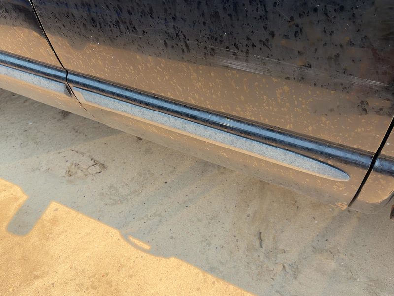 2002-2006 Dodge Ram Pickup 1500 Series Rear Door Moulding LH