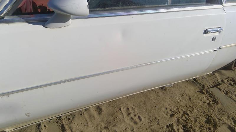 1978-1980 Regal (also See Somerset 85-87) Front Door LH