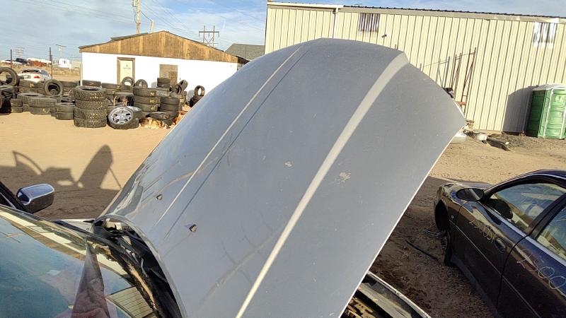 2006-2009 Lincoln Mkz Hood