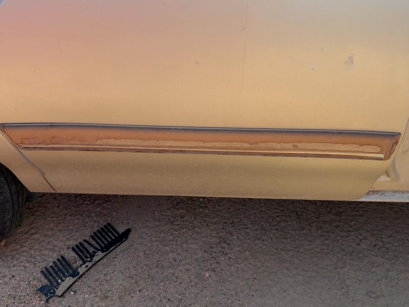 1993 Buick Century Rear Door Moulding RH